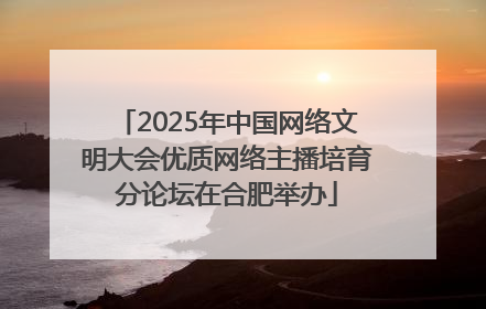 2025年中国网络文明大会优质网络主播培育分论坛在合肥举办