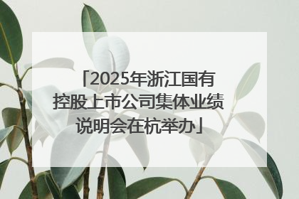 2025年浙江国有控股上市公司集体业绩说明会在杭举办