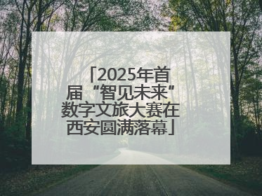2025年首届“智见未来”数字文旅大赛在西安圆满落幕