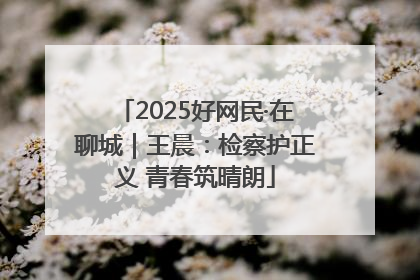 2025好网民·在聊城｜王晨：检察护正义 青春筑晴朗