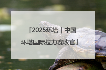 2025环塔｜中国环塔国际拉力赛收官