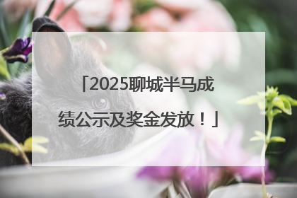 2025聊城半马成绩公示及奖金发放！