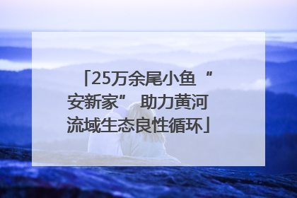 25万余尾小鱼“安新家” 助力黄河流域生态良性循环