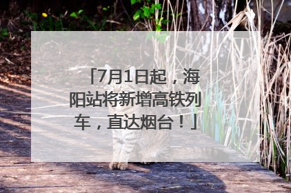 7月1日起，海阳站将新增高铁列车，直达烟台！