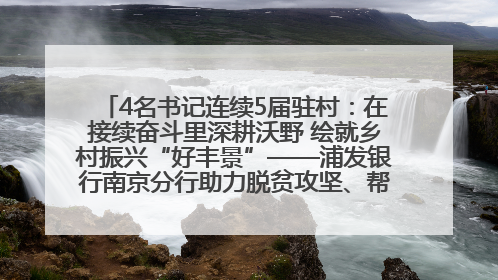 4名书记连续5届驻村：在接续奋斗里深耕沃野 绘就乡村振兴“好丰景”——浦发银行南京分行助力脱贫攻坚、帮促乡村振兴记事（二）