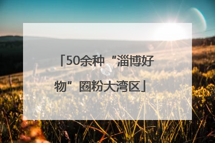 50余种“淄博好物”圈粉大湾区
