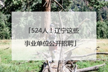 524人！辽宁这些事业单位公开招聘