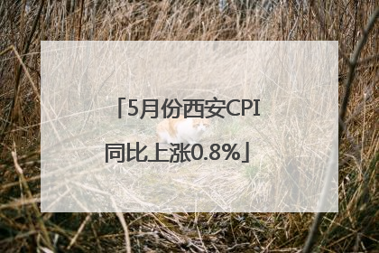 5月份西安CPI同比上涨0.8%