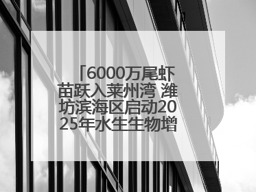 6000万尾虾苗跃入莱州湾 潍坊滨海区启动2025年水生生物增殖放流工作
