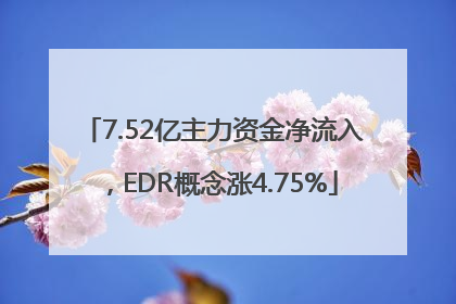 7.52亿主力资金净流入，EDR概念涨4.75%