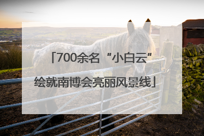 700余名“小白云”绘就南博会亮丽风景线
