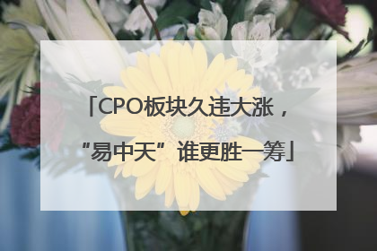 CPO板块久违大涨，“易中天”谁更胜一筹