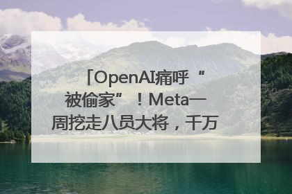 OpenAI痛呼“被偷家”！Meta一周挖走八员大将，千万美元薪酬战开打