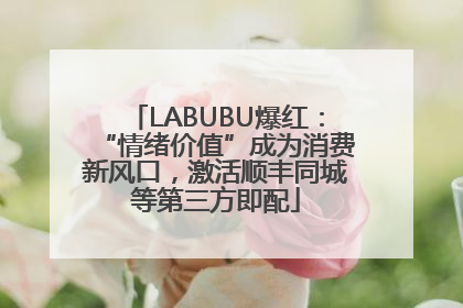 LABUBU爆红：“情绪价值”成为消费新风口，激活顺丰同城等第三方即配