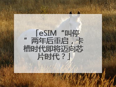 eSIM“叫停”两年后重启，卡槽时代即将迈向芯片时代？